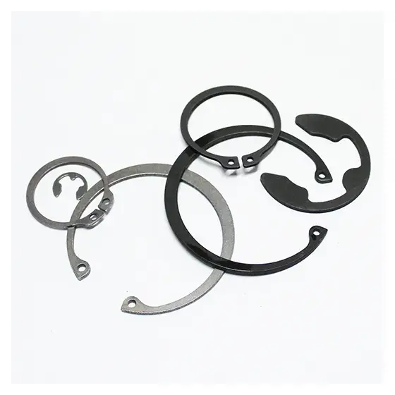 Anillos seeger